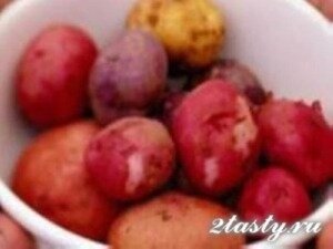 Рецепт Советы по хранению и приготовлению картофеля (фото)