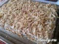 Фото Закусочный торт с сардинами