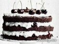 Фото Вишневый торт «Черный лес»